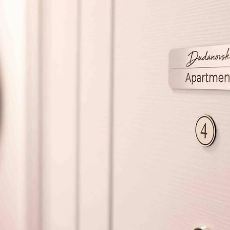 Apartment Dudanovski City Center - Apartment No. 4 Ohri Dış mekan fotoğraf
